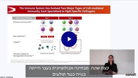 מה הוא מנגנון הפעולה של דלקת מסוג 2?
