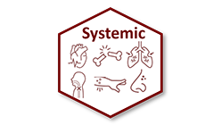systematic