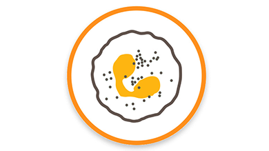 EOS_Icon