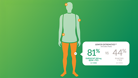 LOWER EXTREMITIES