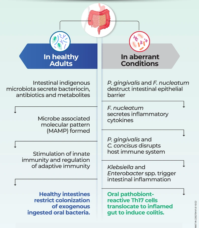 New insights into the role of oral microbiota dysbiosis in the
