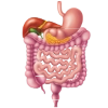 Gastroenterologie