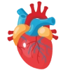 Kardiologie