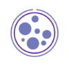Haemophilus Influenza Type B