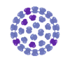 Hepatitis B