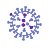 Influenza