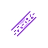 DISLIPIDEMIE