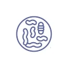 Mikrobiyota & Probiyotikler | Bilimsel | Kampüs Sanofi