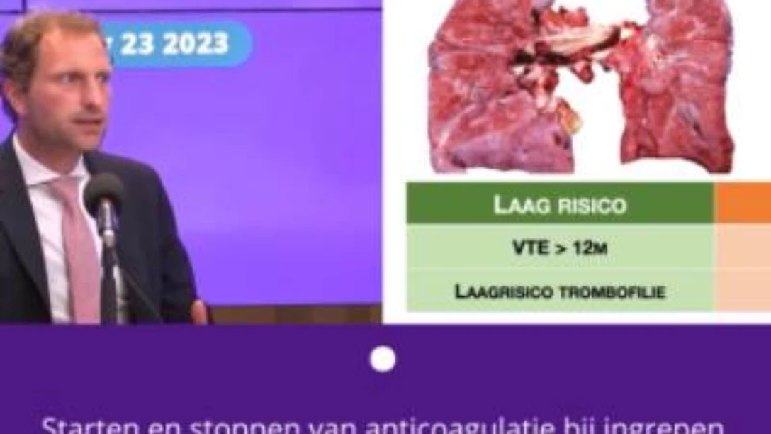 Verhamme 8