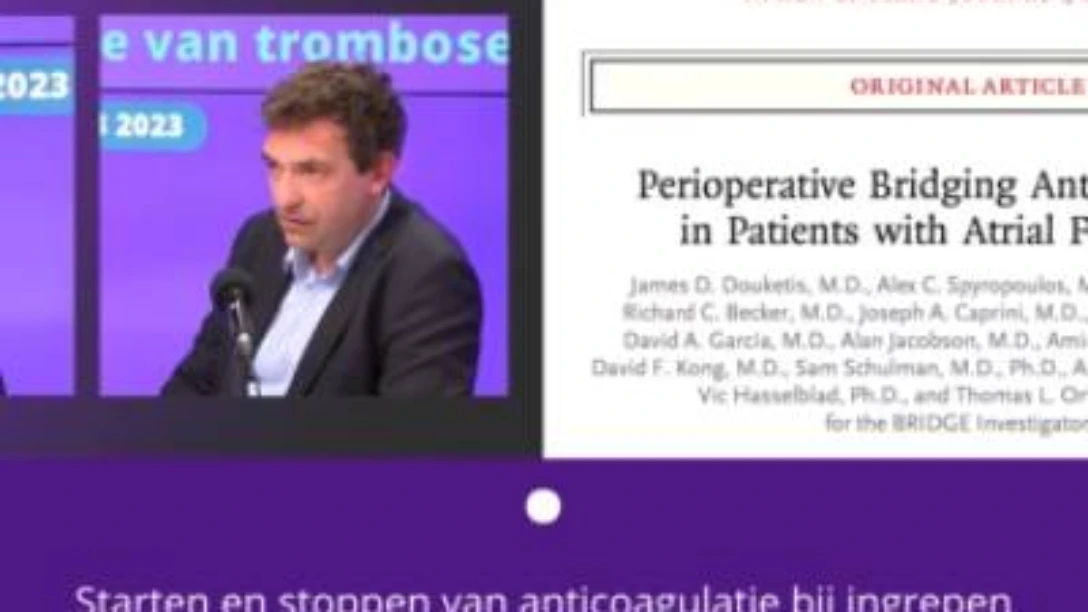 Verhamme 8