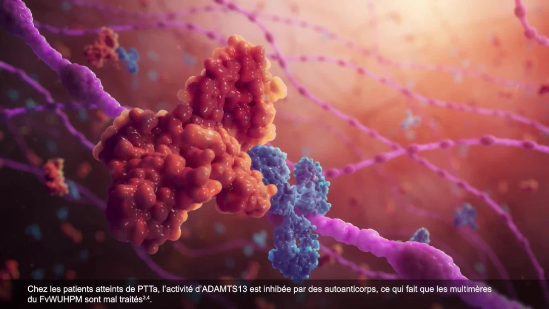 aTTP-MoD_FR