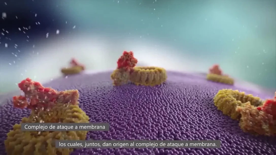 Mecanismo de acción Isatuximab