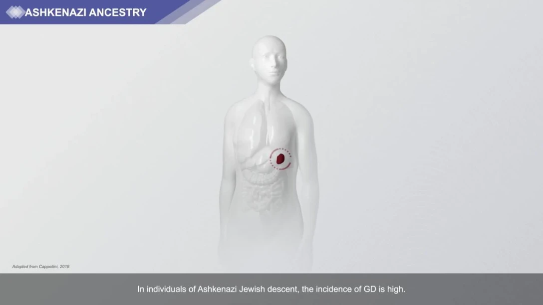 Cappellini_Adult_Diagnostic_Algorithm_Animation_approved_Sept_2019_D0519101