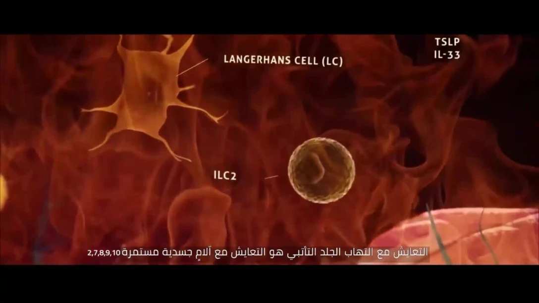 TetrAd 2nd Episode Video 3.11.2021 Gulf - PromoMat approved