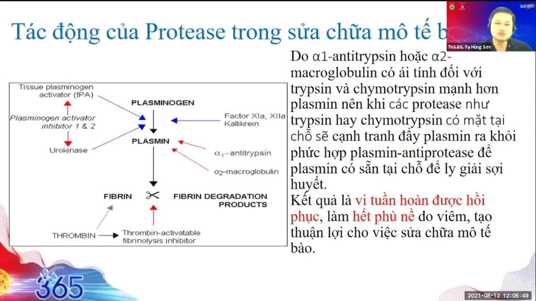 event_sinh-hoat-khoa-hoc-truc-tuyen-lam-the-nao-de-co-the-lua-chon-va-tu-van-khang-viem-phu-hop-cho-benh-nhan