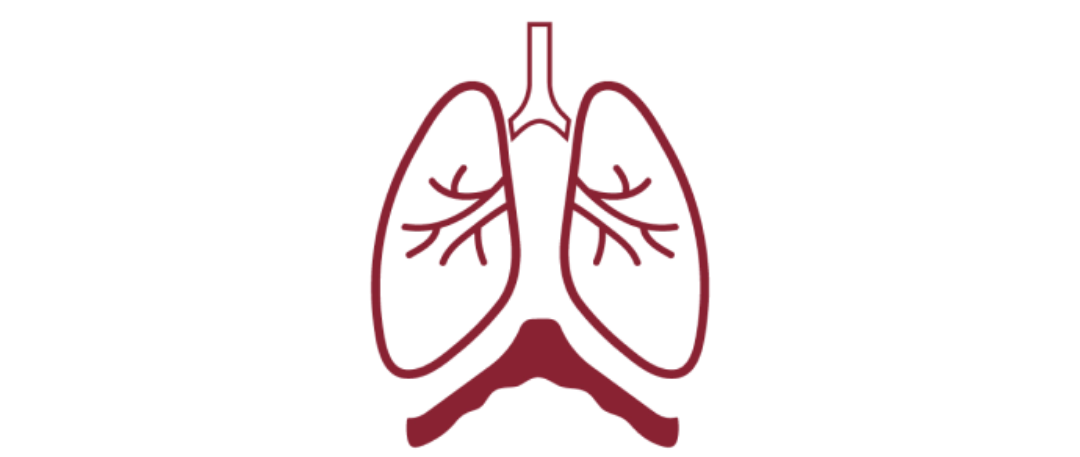ICON: LUNGS