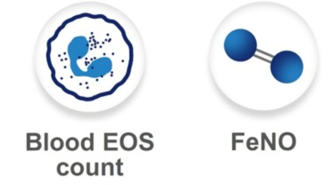 eos-feno
