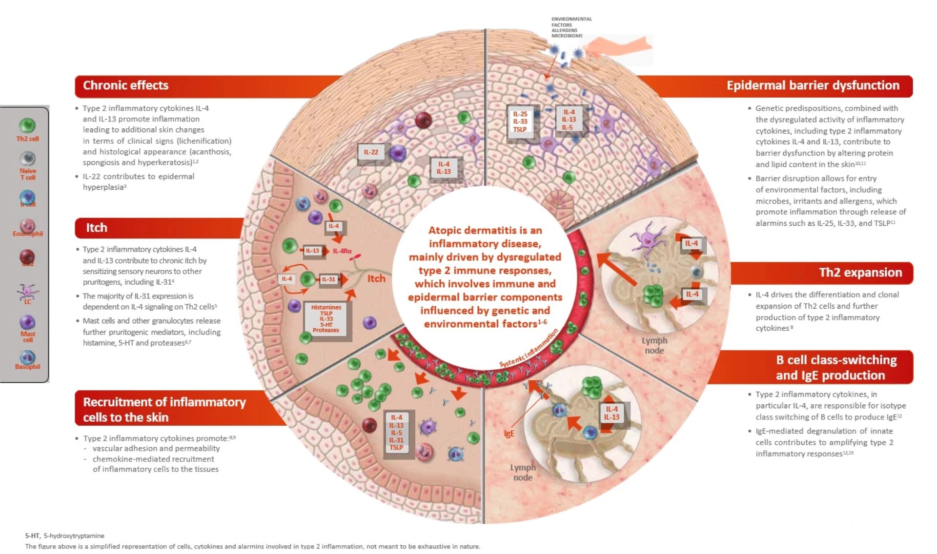 Atopic Dermatitis Pathophysiology: Breaking Down the Barrier