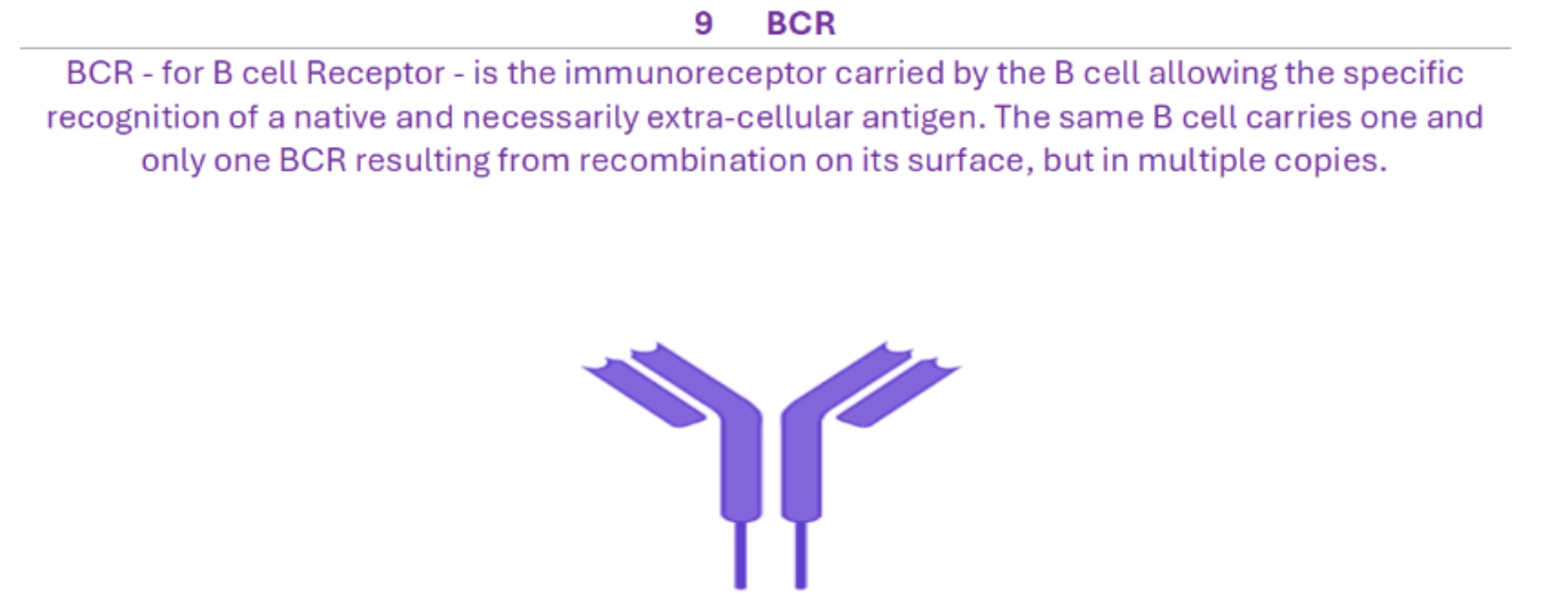 BCR Diagram