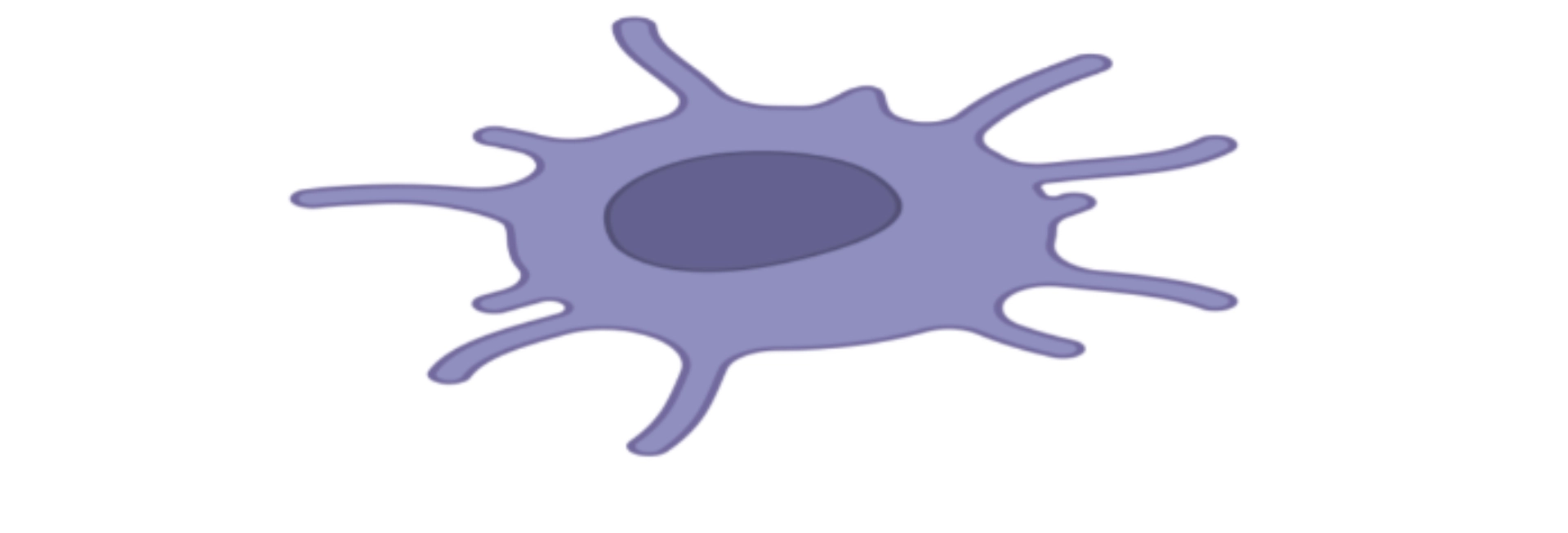 Dendritic Cell