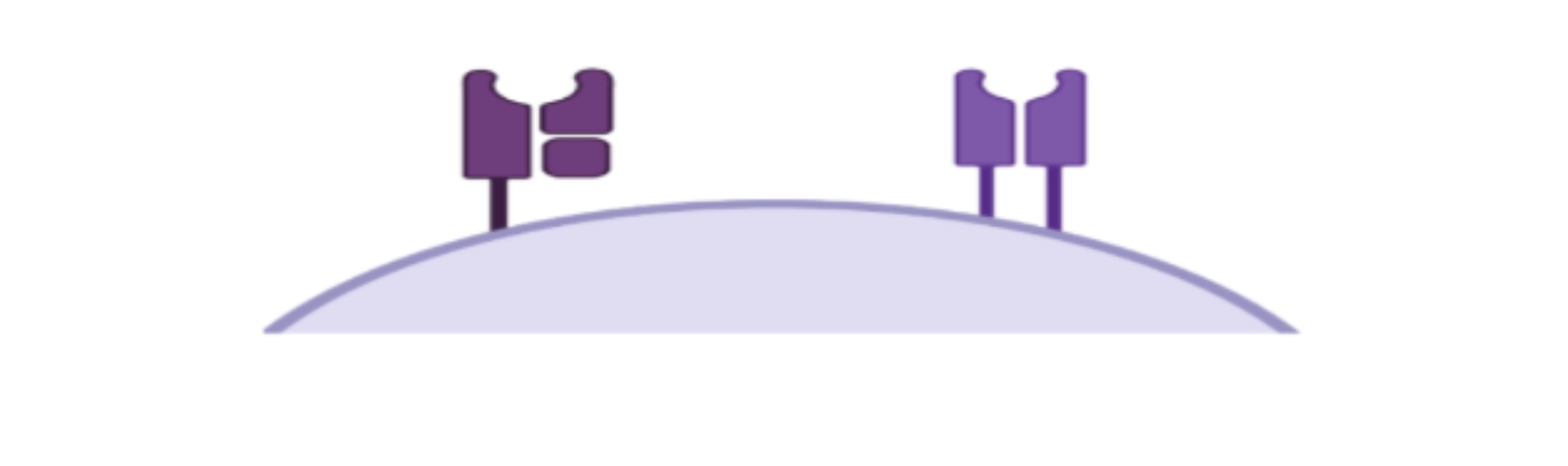 antigen presenting cells