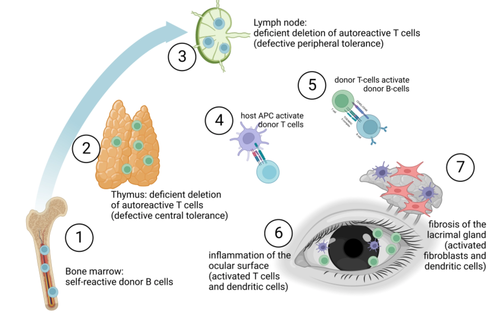 Eye health and inflammation illustration