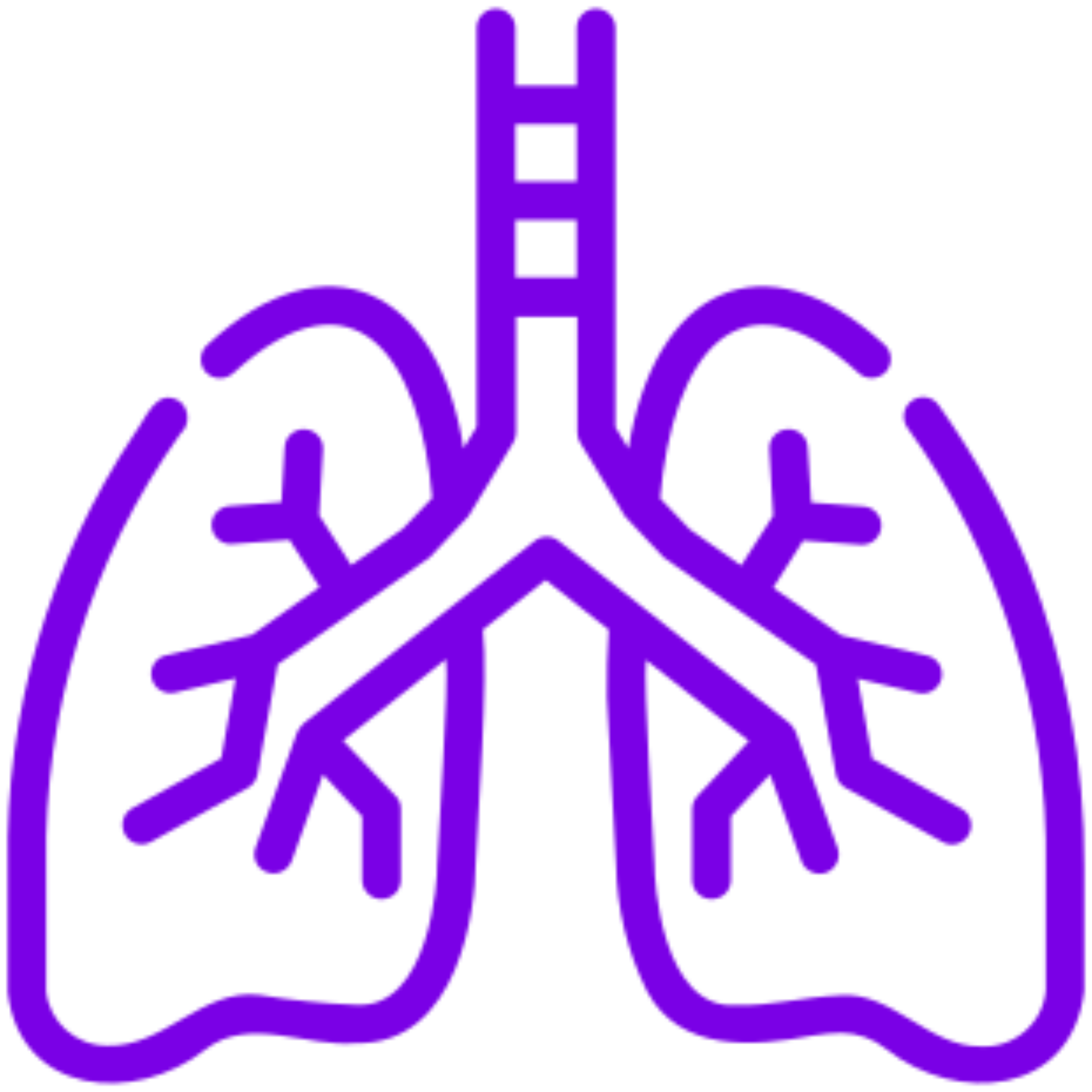 Lungs