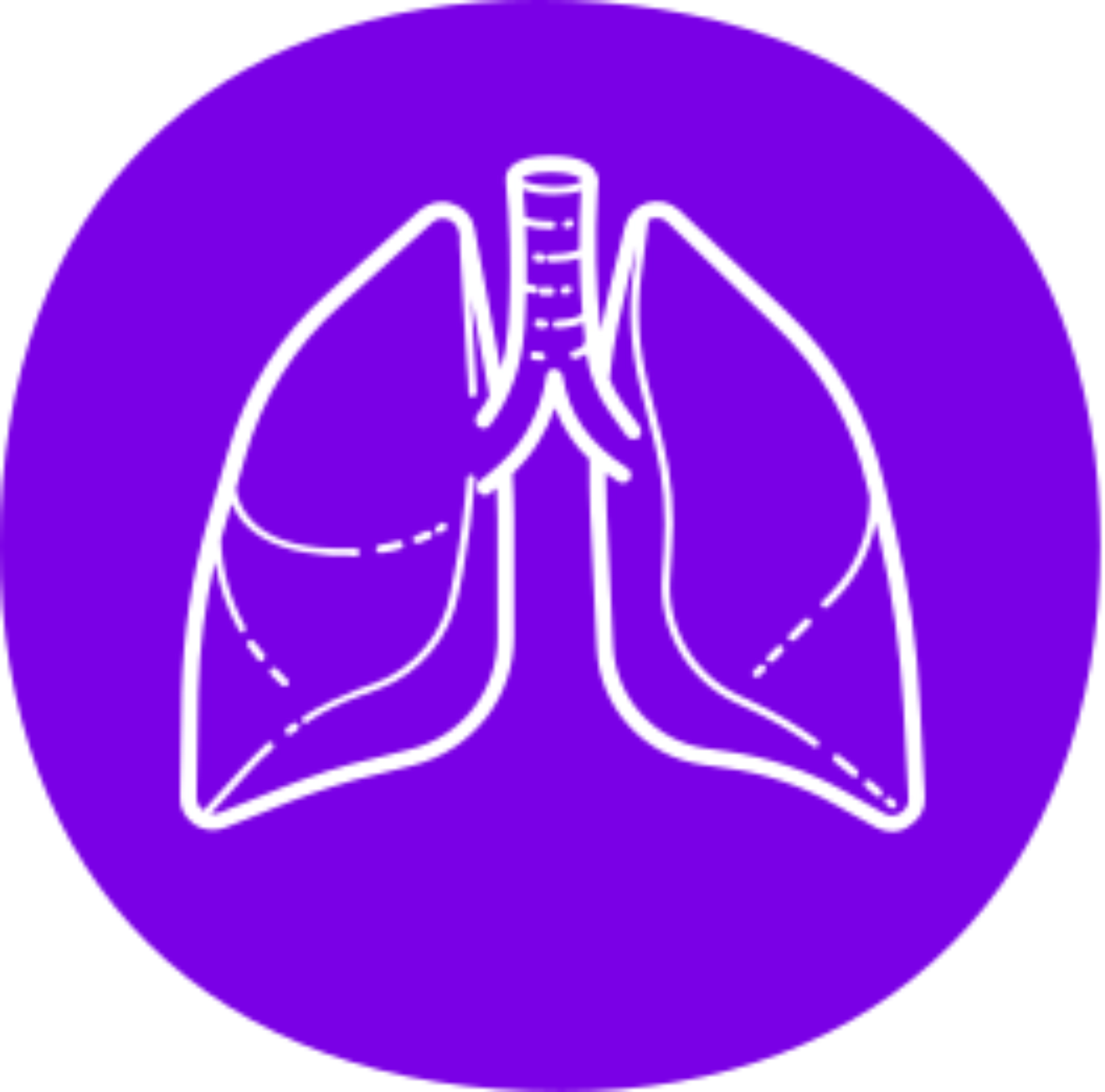 lung icon