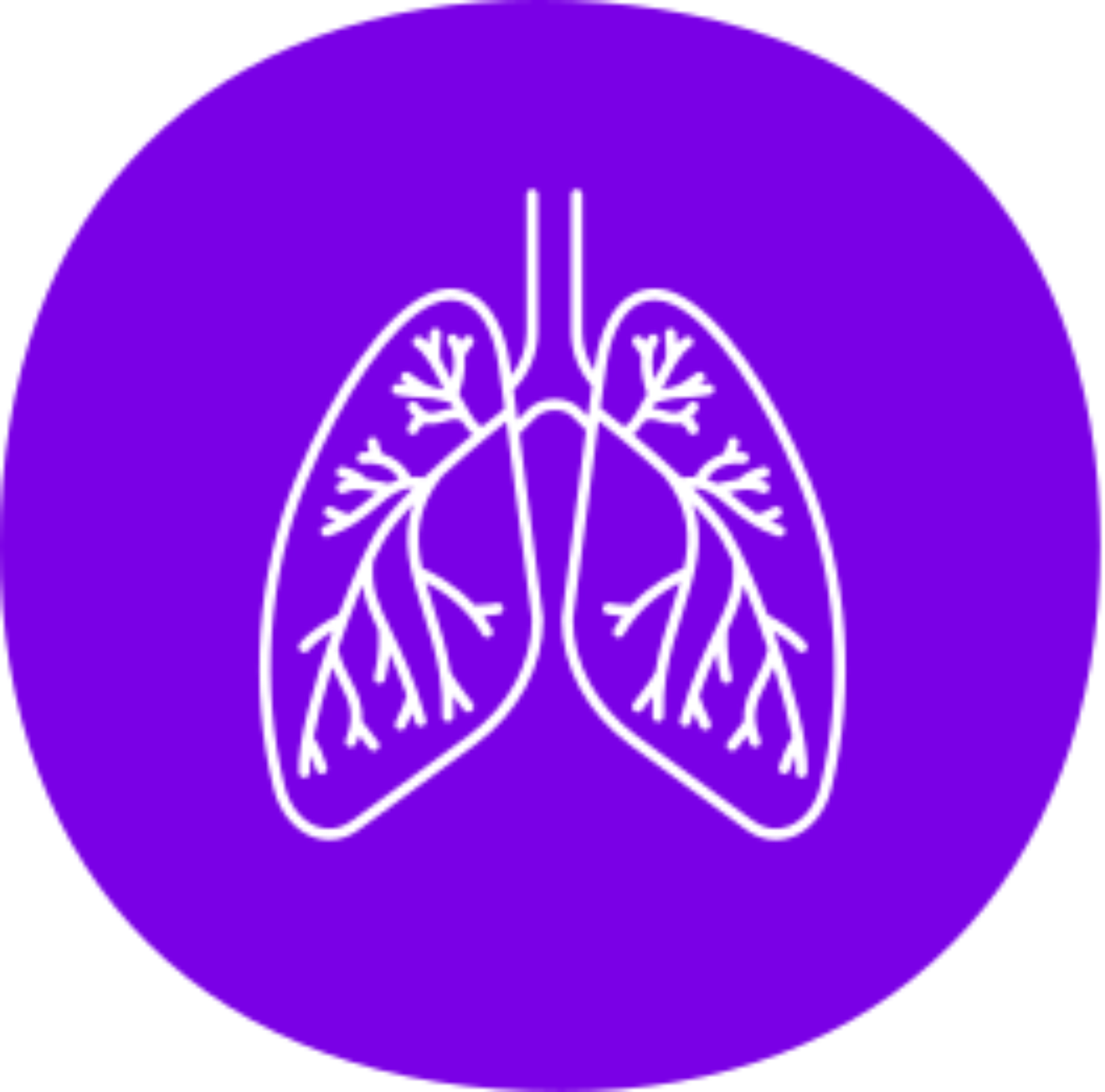 airway icon