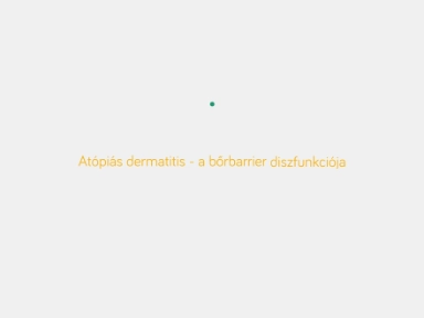 Nem allergia, hanem a barrier diszfunkciója