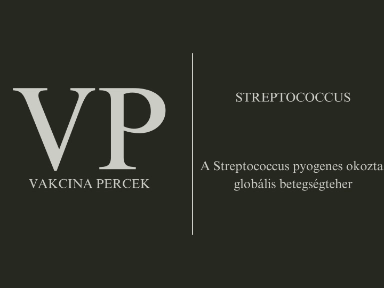 A Streptococcus pyogenes okozta globális betegségteher