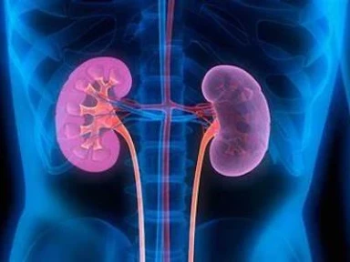 Multiple Myeloma: Renal Impairment