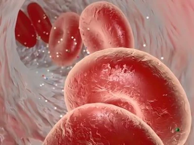 Importance of lipid registries in cardiovascular prevention