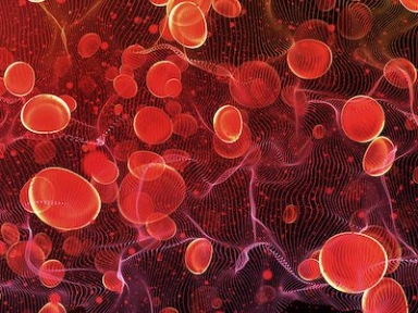 RCOG Guidelines: Reducing the Risk of Venous Thromboembolism during Pregnancy and the Puerperium