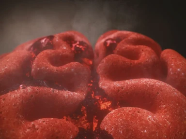 Die Rolle der Mikroglia in der Progression der MS