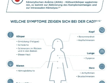 CAD Diagnostikfolder