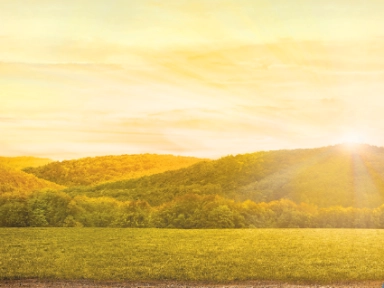 IL-4 and IL-13 are key and central drivers of type 2 inflammation1-3