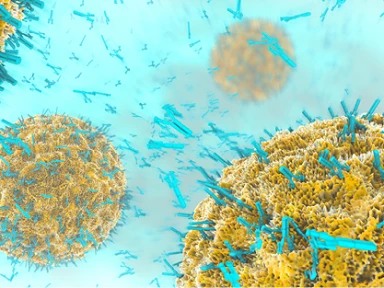 HER2 trispecific TCE