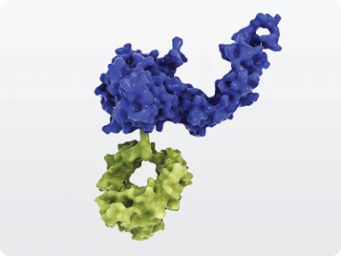 Factor IX and Fc-fusion mechanism of action (MOA)