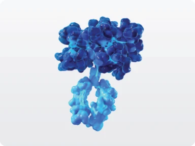 Half-life extension with Fc-fusion