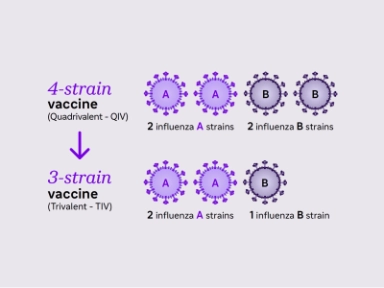 Understanding the switch from quadrivalent to trivalent influenza vaccines