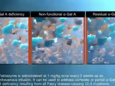 Fabrazyme® Werkingsmechanisme