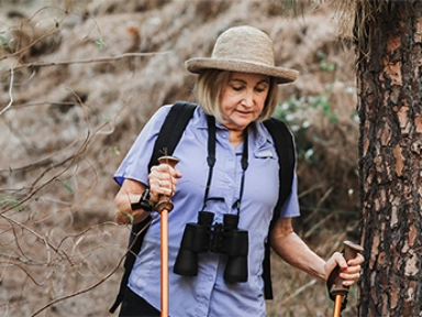 Reizigersziekten - Gele Koorts