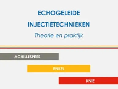 Echogeleide injectietechnieken