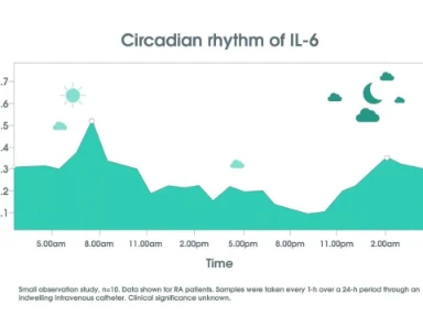 IL-6, een cruciale cytokine bij RA