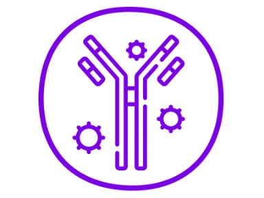 Immunology mechanism
