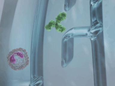 Type 2 Inflammation may play a role in Prurigo Nodularis Pathophysiology1