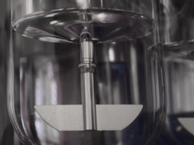 Regulate LDL-C level for those undergoing coronary revascularization (Diabetic Patients)