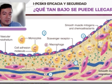 Eficacia y seguridad de la PCSK-9​