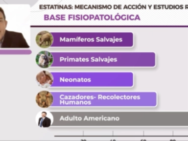 Estatinas: mecanismo de acción y estudios relevantes ​